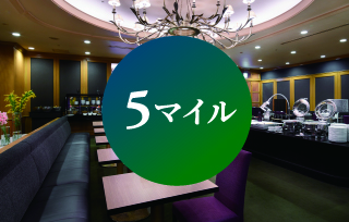 5マイル