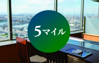5マイル