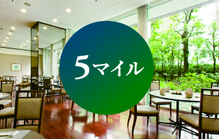 5マイル