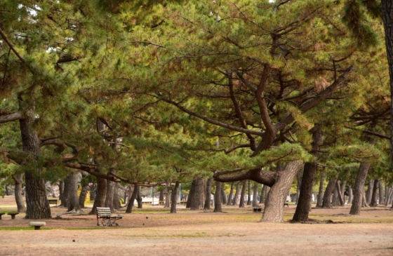 滨寺公园