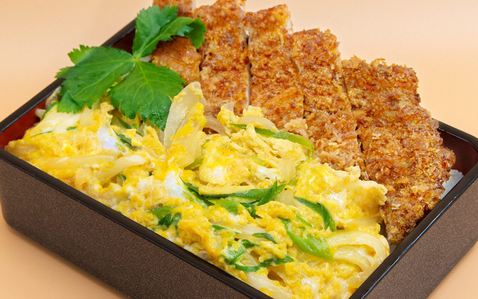 ゆめの大地ポークのカツ丼