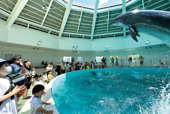 ノアドルフィンドーム入場料半額 「堺市民感謝DAY」開催